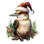 Christmas Kookaburra on Nu Country TV country music website